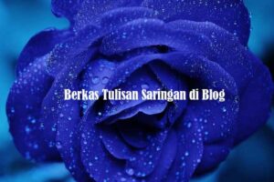 Berkas Tulisan Saringan di Blog