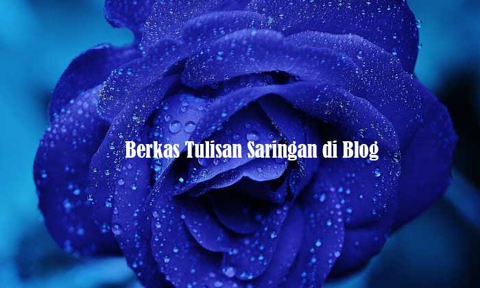 Berkas Tulisan Saringan di Blog