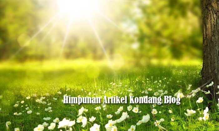 Himpunan Artikel Kondang Blog