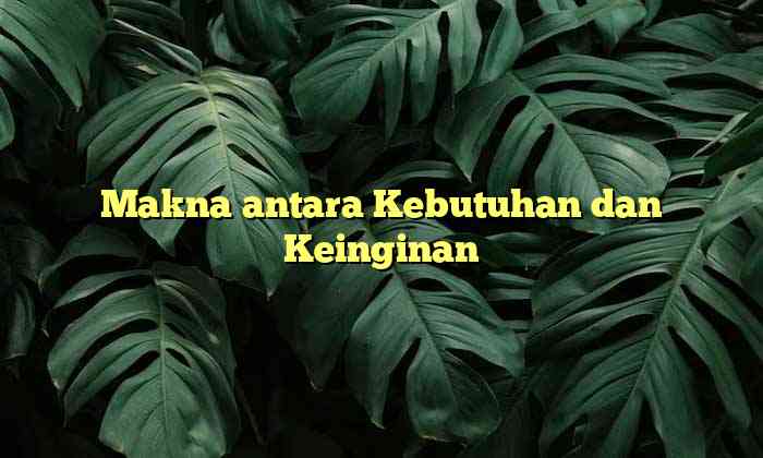 Makna antara Kebutuhan dan Keinginan