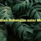 Pengertian Hubungan antar Manusia
