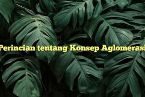 Perincian tentang Konsep Aglomerasi