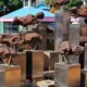 koleksi museum paling aneh